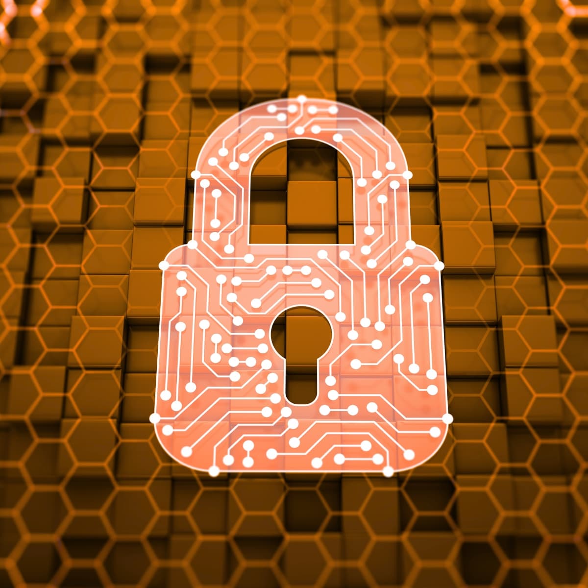 Polityka prywatności — NOVAGO